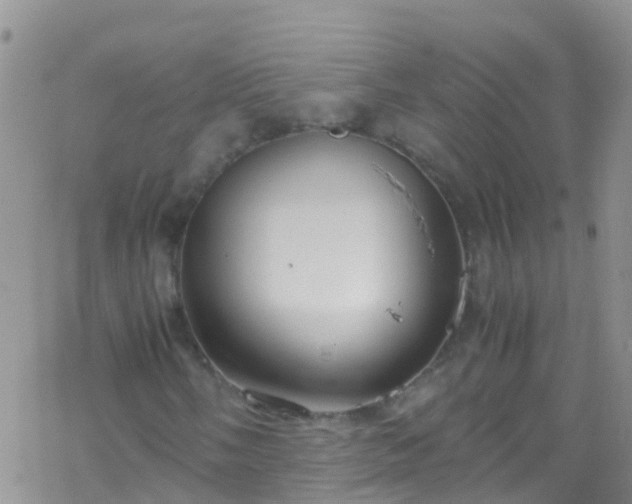 X0000069411058200605192258