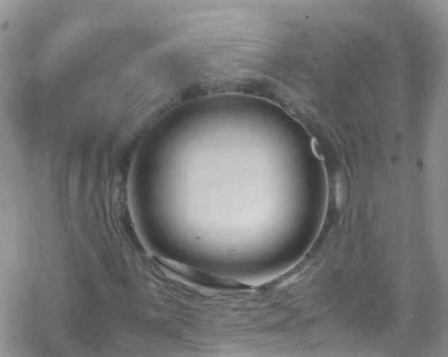 X0000069411059200605192258