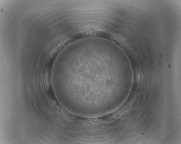 X0000069411060200605192258