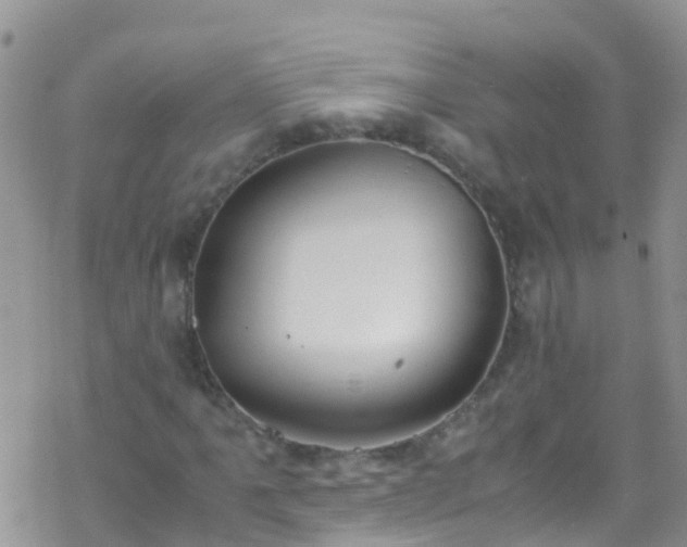 X0000069411061200605192258