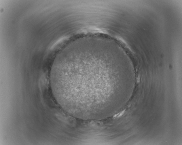 X0000069411063200605192258