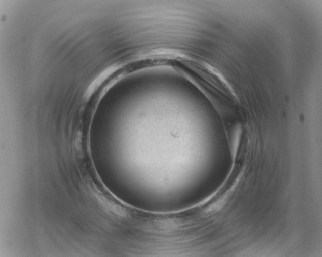 X0000069411066200605192258