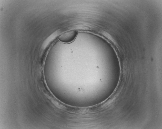 X0000069411067200605192258