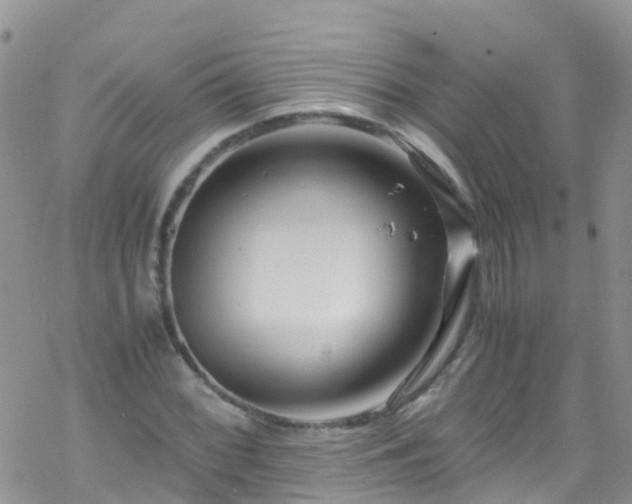 X0000069411068200605192258