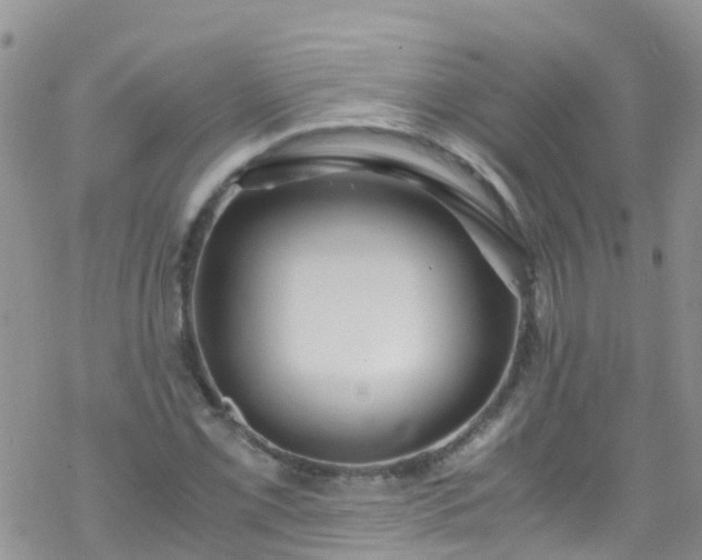 X0000069411069200605192258