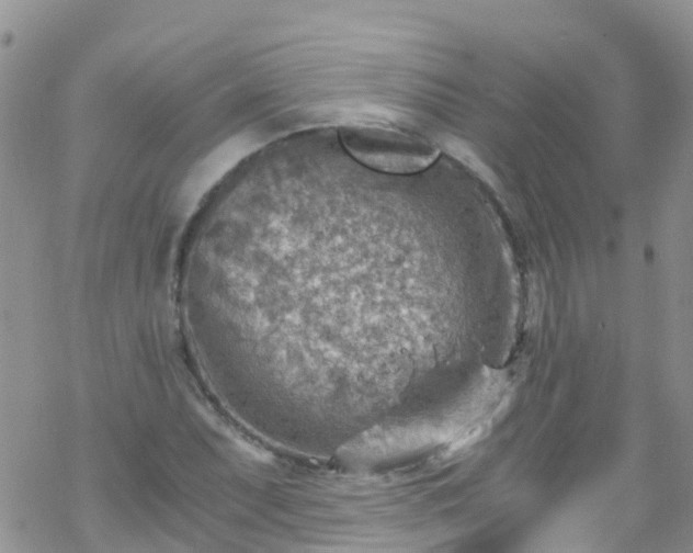 X0000069411071200605192258