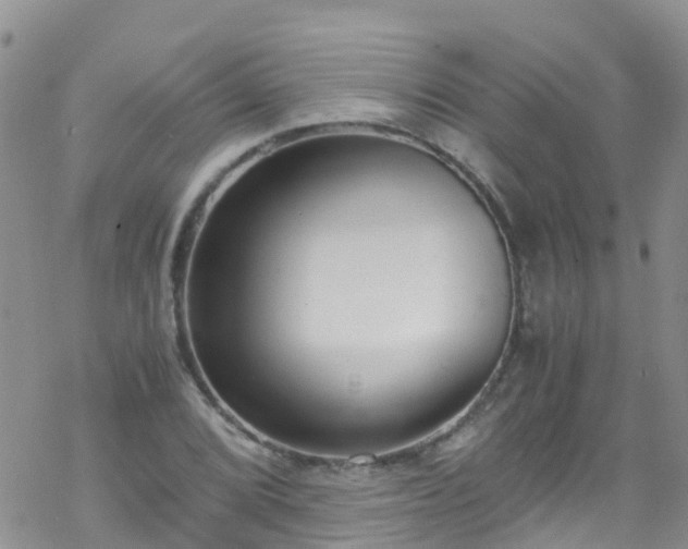 X0000069411072200605192258