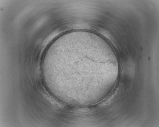 X0000069411074200605192258