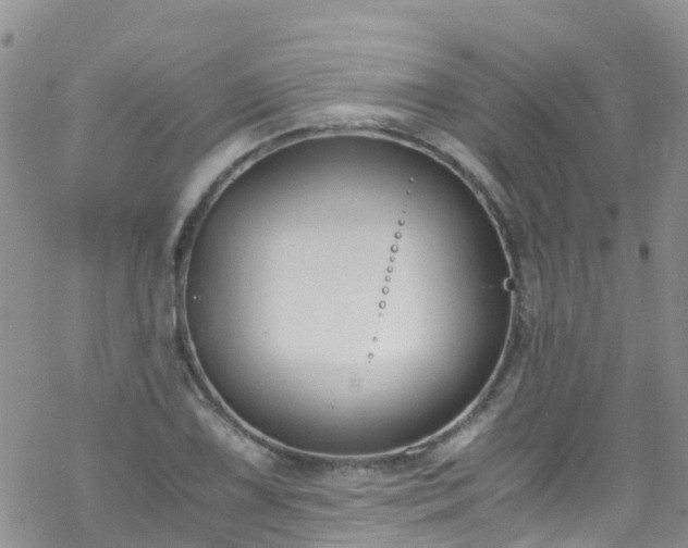 X0000069411075200605192258