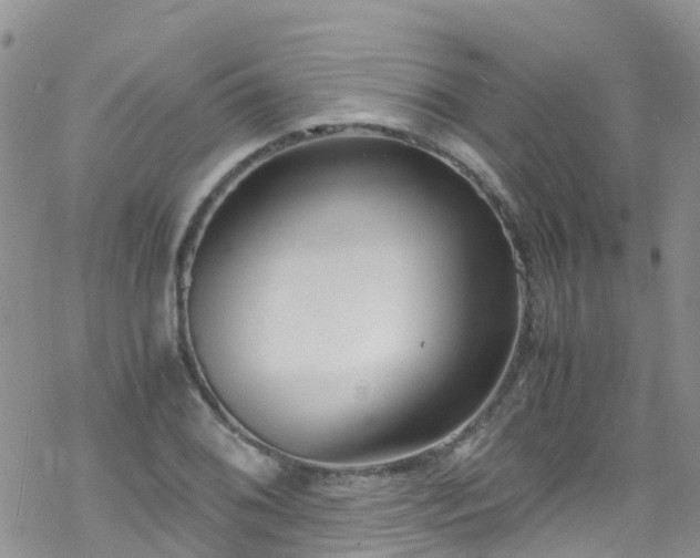 X0000069411076200605192258