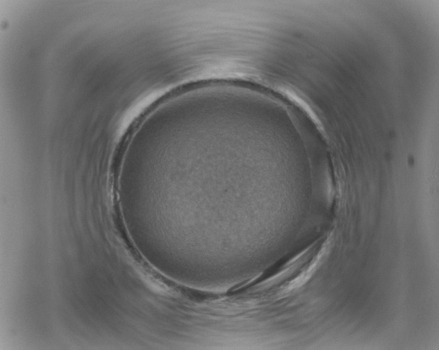 X0000069411077200605192258