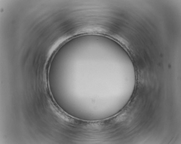 X0000069411078200605192258