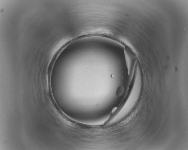 X0000069411079200605192258