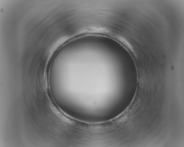 X0000069411080200605192258