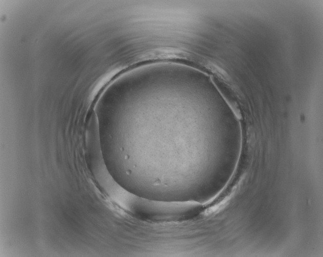 X0000069411081200605192258