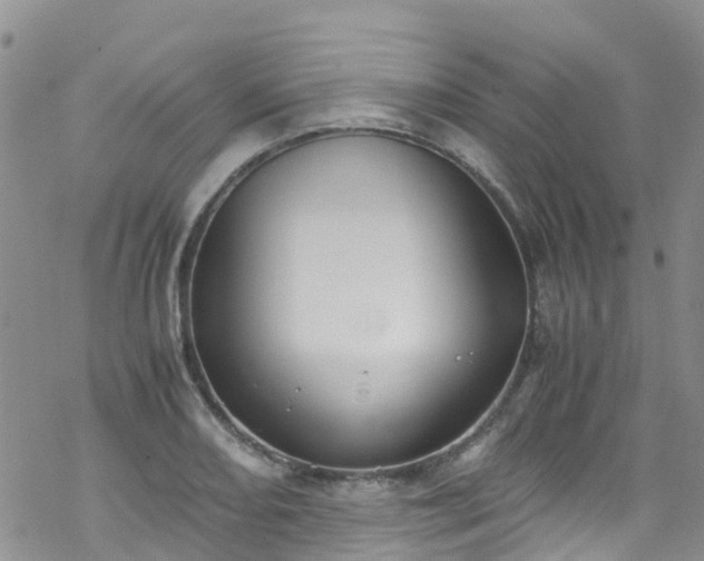 X0000069411082200605192258