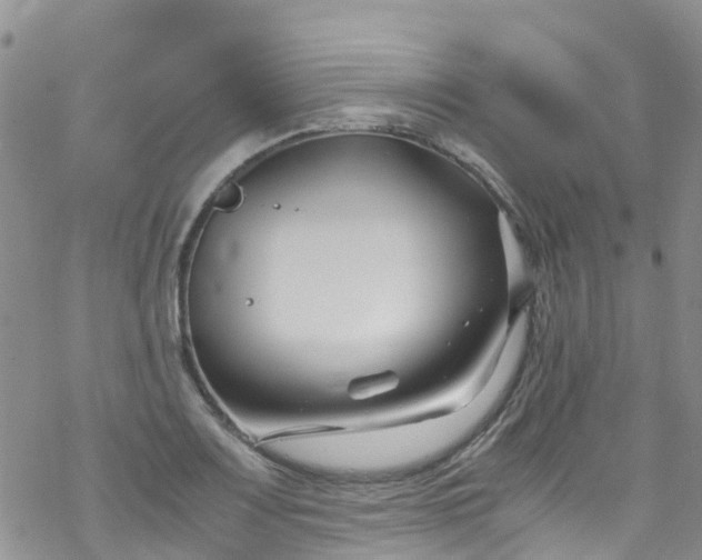 X0000069411083200605192258