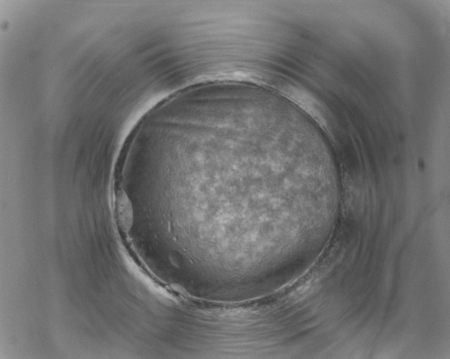 X0000069411084200605192258