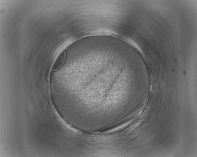 X0000069411087200605192258