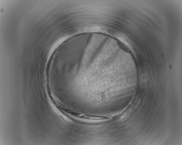 X0000069411088200605192258