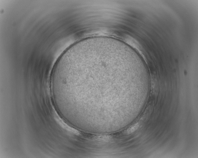 X0000069411090200605192258