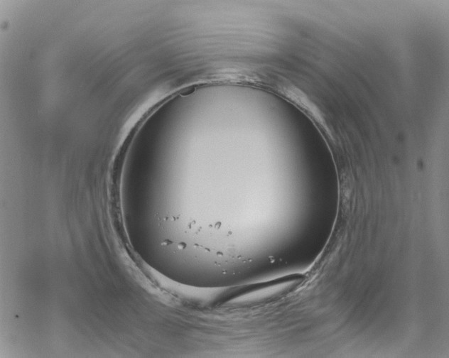 X0000069411091200605192258