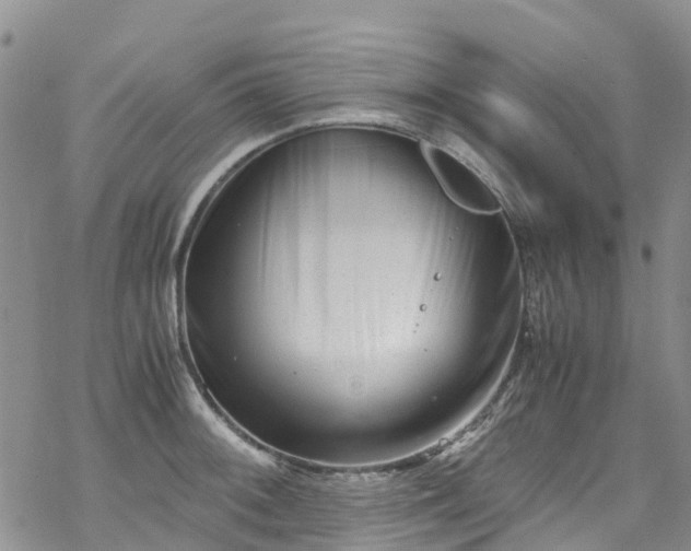 X0000069411092200605192258