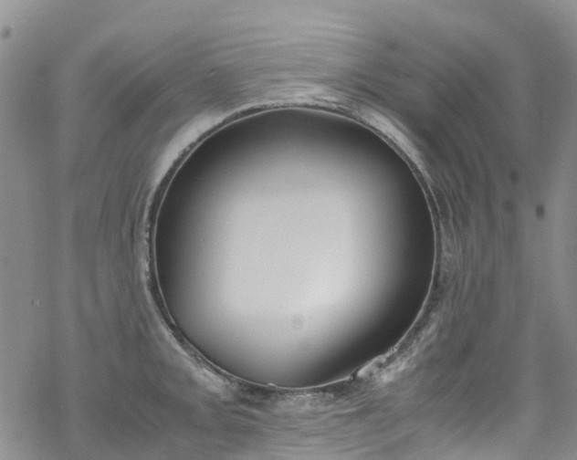 X0000069411093200605192258