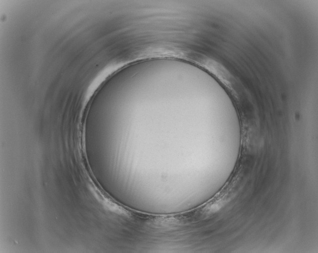 X0000069411094200605192258