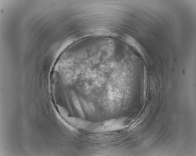 X0000069411095200605192258