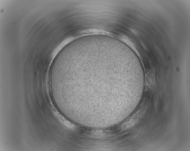 X0000069411098200605192258