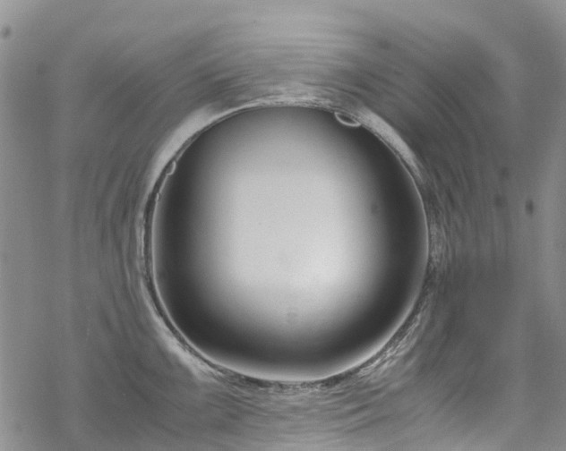 X0000069411099200605192258