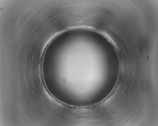 X0000069411100200605192258