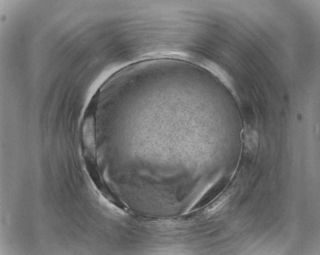 X0000069411102200605192258