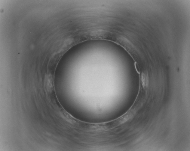 X0000069411107200605192257