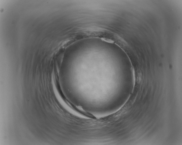 X0000069411108200605192257