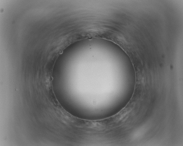 X0000069411109200605192257