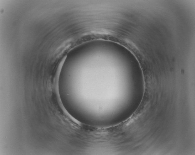 X0000069411110200605192257