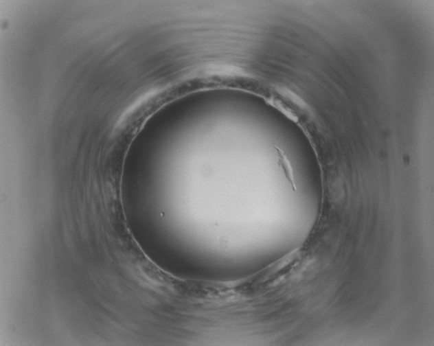 X0000069411112200605192257