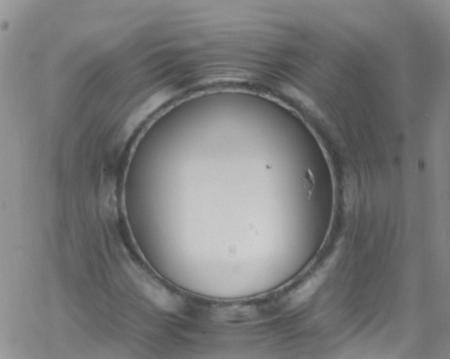 X0000069411113200605192257