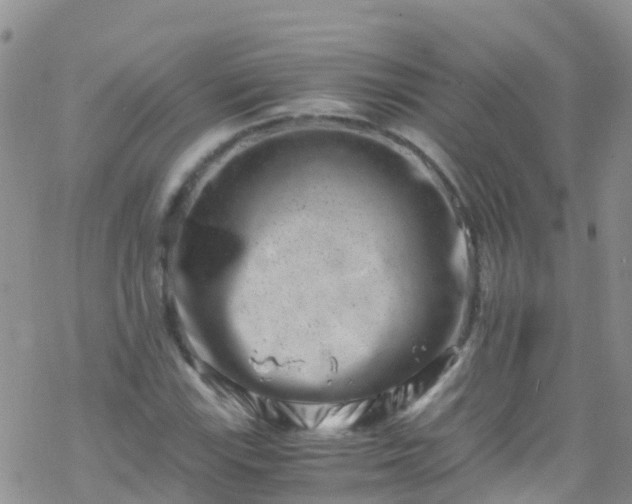 X0000069411115200605192257