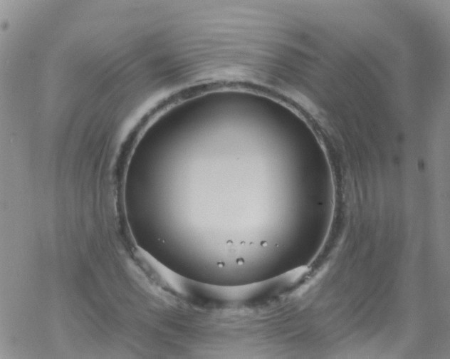 X0000069411118200605192257