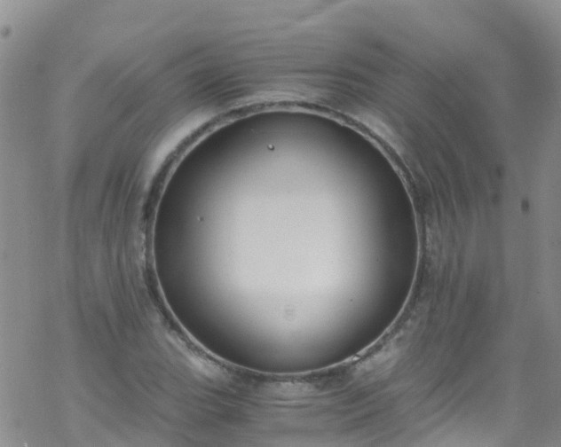 X0000069411119200605192257