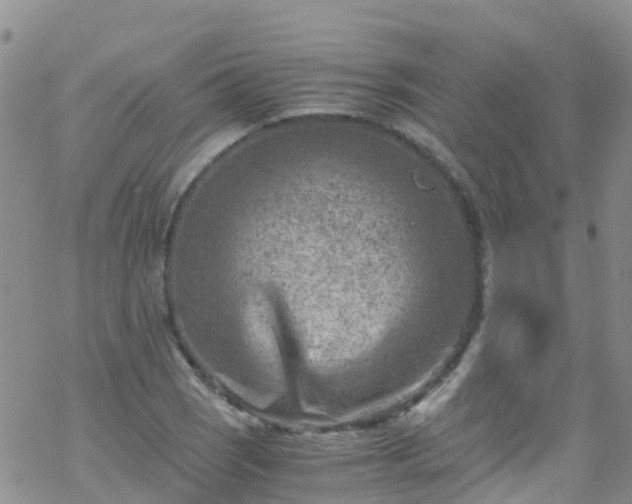 X0000069411121200605192257