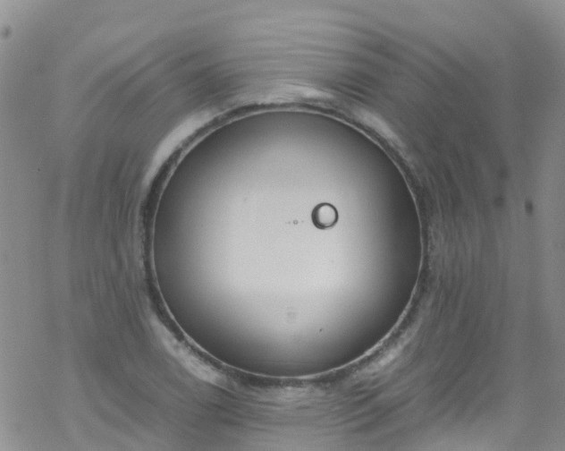 X0000069411122200605192257