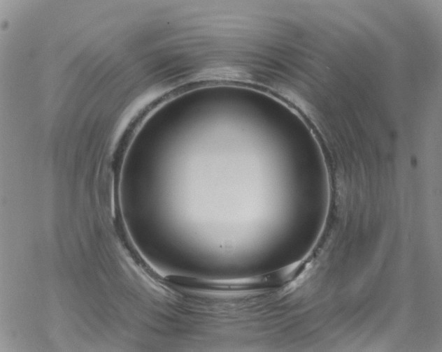 X0000069411123200605192257