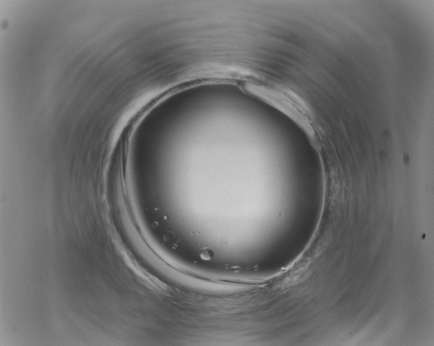 X0000069411128200605192257