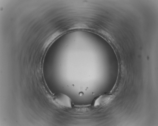 X0000069411129200605192257