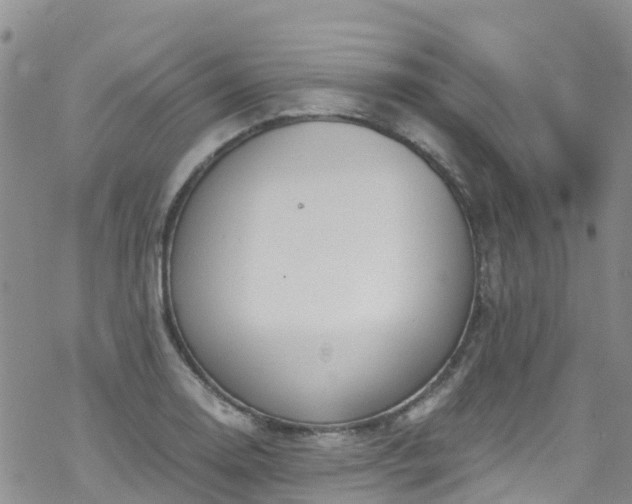 X0000069411130200605192257