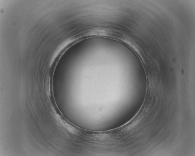 X0000069411131200605192257